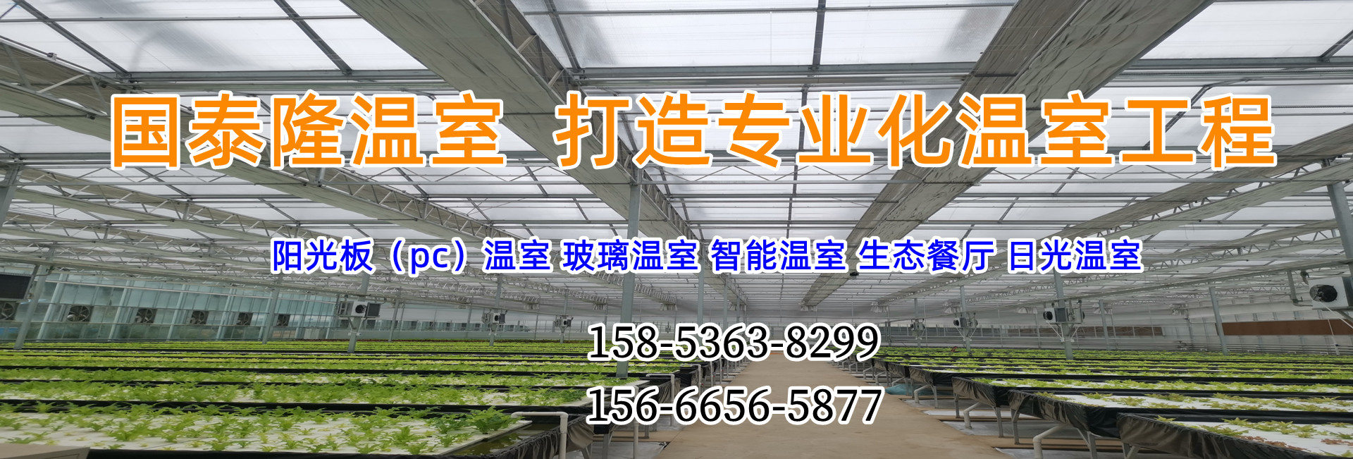 響應式網站建設