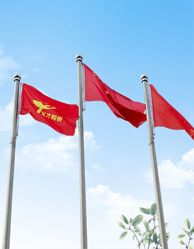 網上商城網站建設